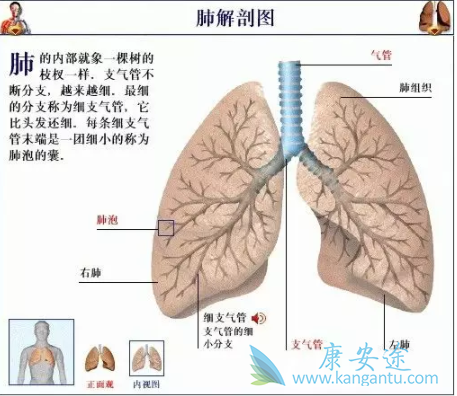 �ΰ����Ʒ���