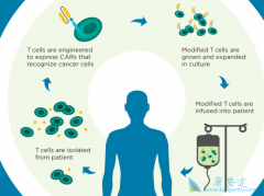 CAR-Tϸ���Ʒ�KYMRIAH����ʱ�����˾޴�ĺ䶯