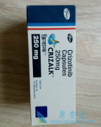 �ٴ��ϳ����Ŀ������ḱ��������Щ