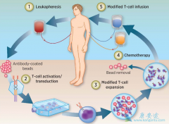 ����CAR-Tϸ�����Ʒ����Ļ�������������