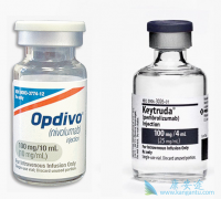 PD-1���Ƽ�Keytruda��Opdivo�ڷΰ���������չ�����Ҿ���