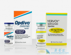 PD-1���Ƽ�Opdivo����Yervoy�ڶ����֢�����з�������
