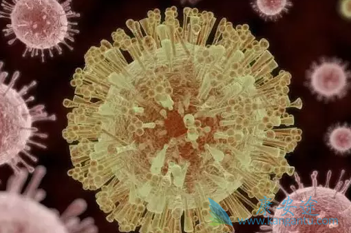 �ΰ���ת��