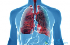 ��Ƶ���������ڷΰ����Ƶ��Ƚ�����֮һ