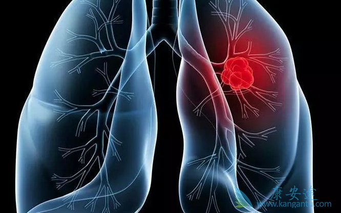 �ΰ������Ʒ���