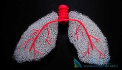 ���ߵ����ڷΰ�֢״��Ҫ����Щ����