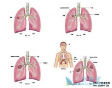 �˽����ڷΰ�֢״���Ծ����������߼���ʹ��