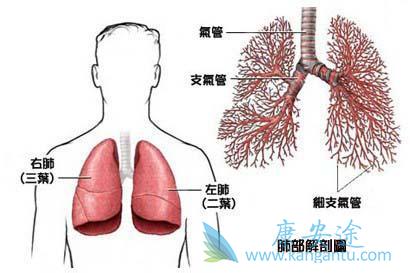 �ΰ�������ǰ֢״