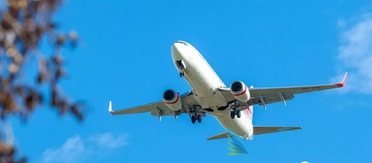 医疗旅游 医疗旅游