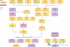 �ΰ��ٰ��ͷΰ��۰���һ����ԭ��