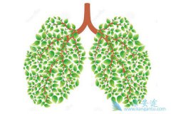 ������Ѫ����ķΰ����ڻ��ܻ���