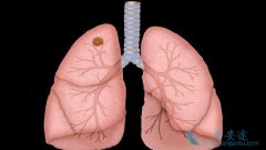 ���Ʒ�Сϸ���ΰ��İ���ҩ��ķ�չ�����ֹ�