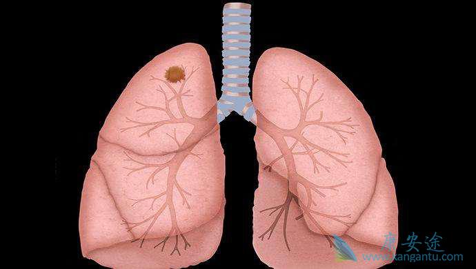 ��Сϸ���ΰ�