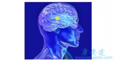 �ΰ���ת�Ʊ�����������䷢�����������й�