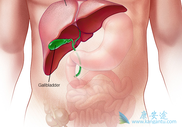 ���Ʊ���Ҫ����Ǯ