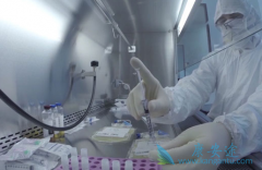 ��֢����ʹ��CAR-Tϸ�����Ʒ�����ע�����