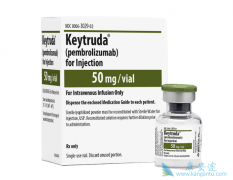 PD-1���Ƽ�Opdivoʲôʱ�������У���ô����PD-1���Ƽ�Opdivo��