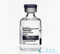 ȫ��һ���м���PD-1���Ƽ���PD-1���Ƽ��ڹ�����������