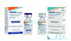 PD-1���Ƽ�Opdivo����ʱ�䣿��ô����PD-1���Ƽ���