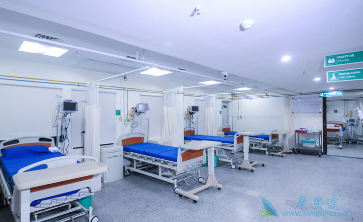 ҽ������