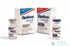 PD-1���Ƽ�Opdivo����������Ч����ô������ô��Opdivo��