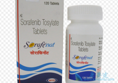 �����������ᣨSORAFENAT���ܽ��͸ΰ����󸴷�������