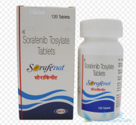 �����������ᣨSORAFENIB��������Ӱ������Ч����