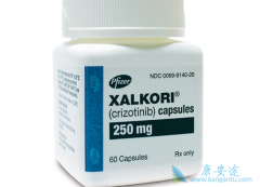 ���ÿ������ᣨXalkori�����ƿ��ӳ��ΰ�������������