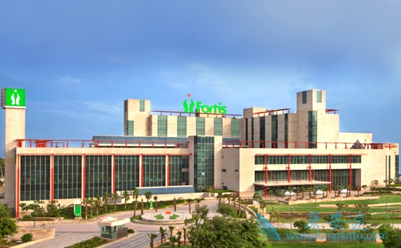 ҽ������