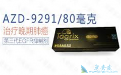 ˽�˵���ԭ��ҩ9291�����ô���ԭ��ҩ9291�ܳ���