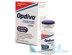 ���䵥����nivolumab��������ƥ��������������������������Ч����