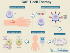 CAR-Tϸ���Ʒ��ļ����Ľ��Լ��г�����
