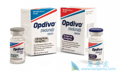 ���䵥���ܷ���ΪPD-L1�����ʲ�ͬ�ķΰ����ߵ�һ���Ʒ���