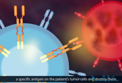 CAR-Tϸ�����Ʒ�������������Щ������CAR-T��������Щע�����