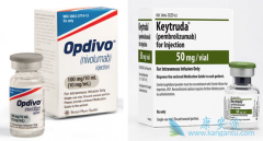 PD-1/PD-L1�и�������?PD-1/PD-L1����ҽԺ����?