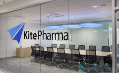 ȫ����ҩ����̿�չ��CAR-Tϸ�����Ƶ��з�����