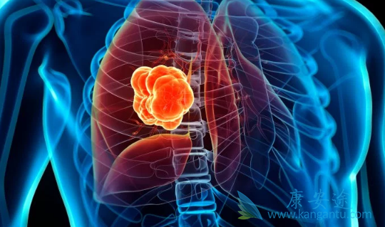 �ΰ��ᴫȾ��