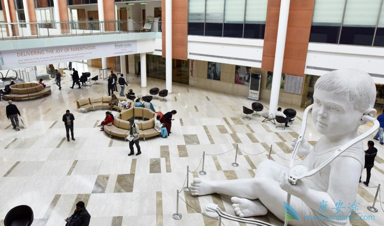 ҽ������