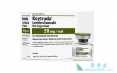 PD-1Ϊ���Ժ�ɫ�����������Ƶ���ϣ��