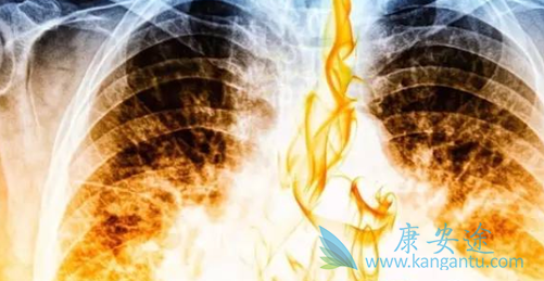 �ΰ����Ʒ���