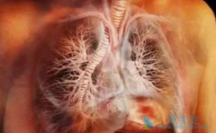 ���ڷΰ����������Ʒ�������Щ��