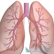 PD-1���Ƽ�+X����Ʒ��Է�Сϸ���ΰ�����Ч������