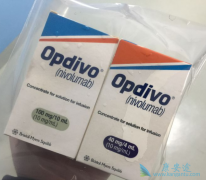 һЩ��Ϊ������������ʹ��PD-1���Ƽ�������