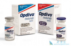 PD-1���Ƽ����䵥����nivolumab�������������ڸ�ϸ������
