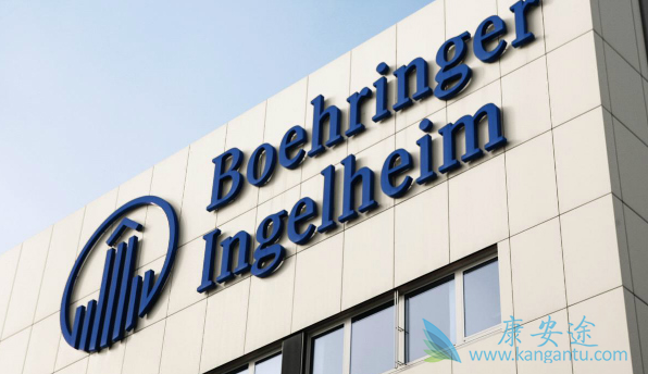 ��������˵����