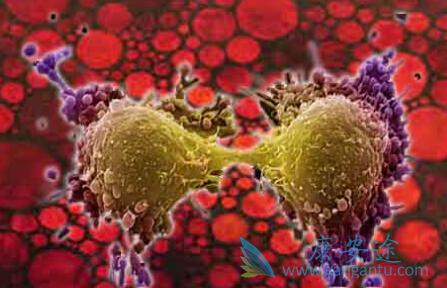 ����ҽ��