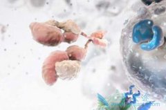 ����ҽ���о����ֿ����е���Ѵ