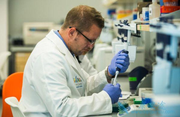 海外医疗 海外医疗