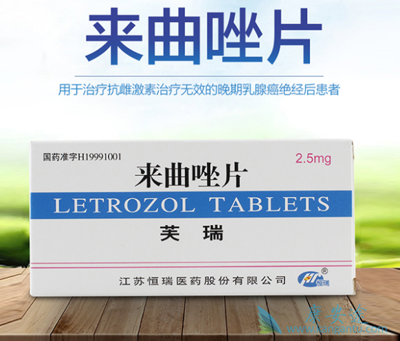 ������Ƭ