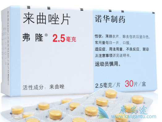 ������Ƭ